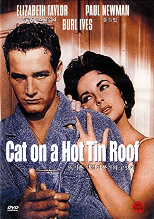 Cover of Cat on a Hot Tin Roof