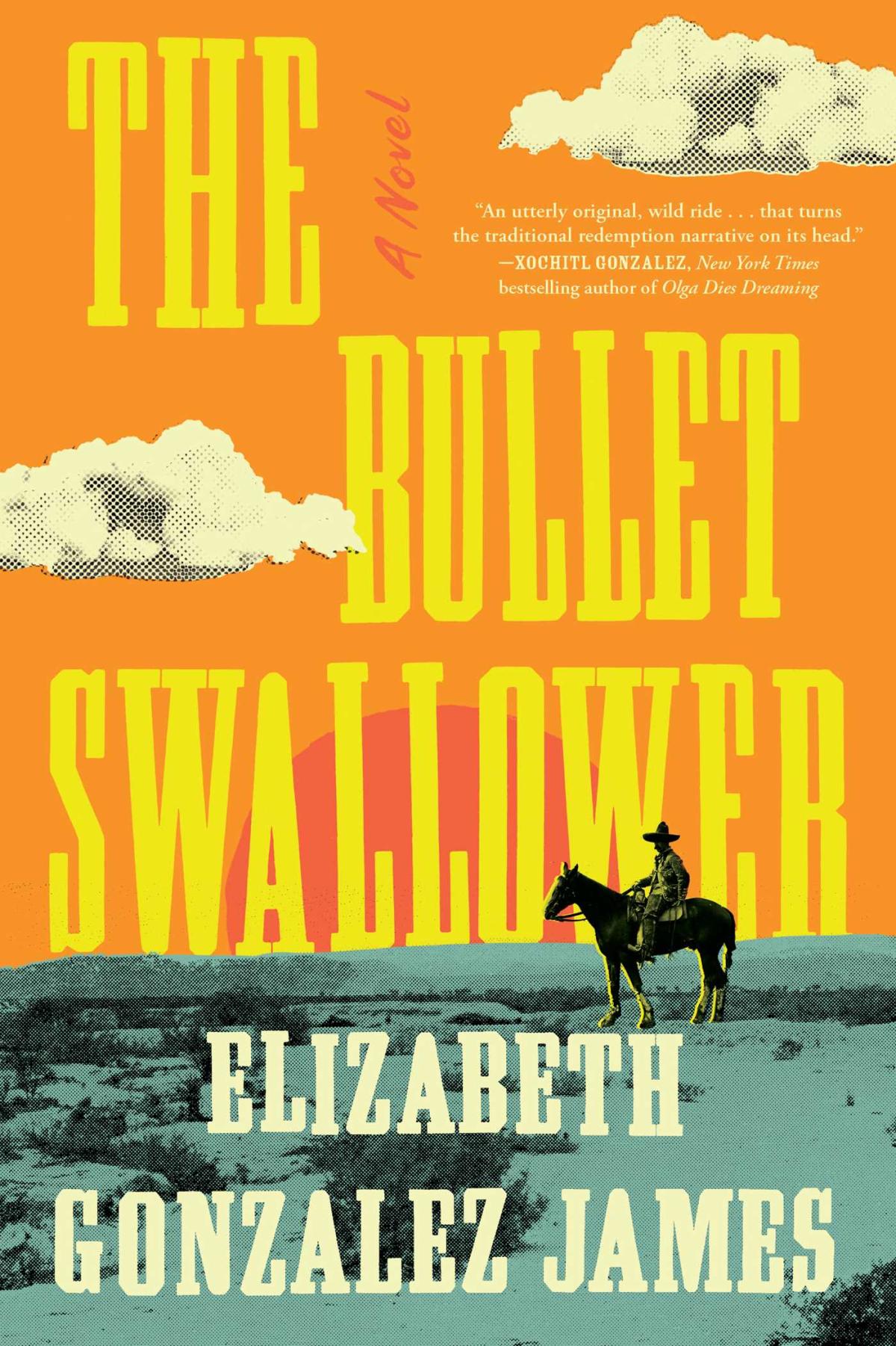 Photo of the cover of The Bullet Swallower